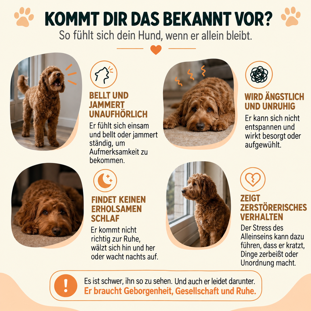 Kuschelfreund mit beruhigendem Herzschlag